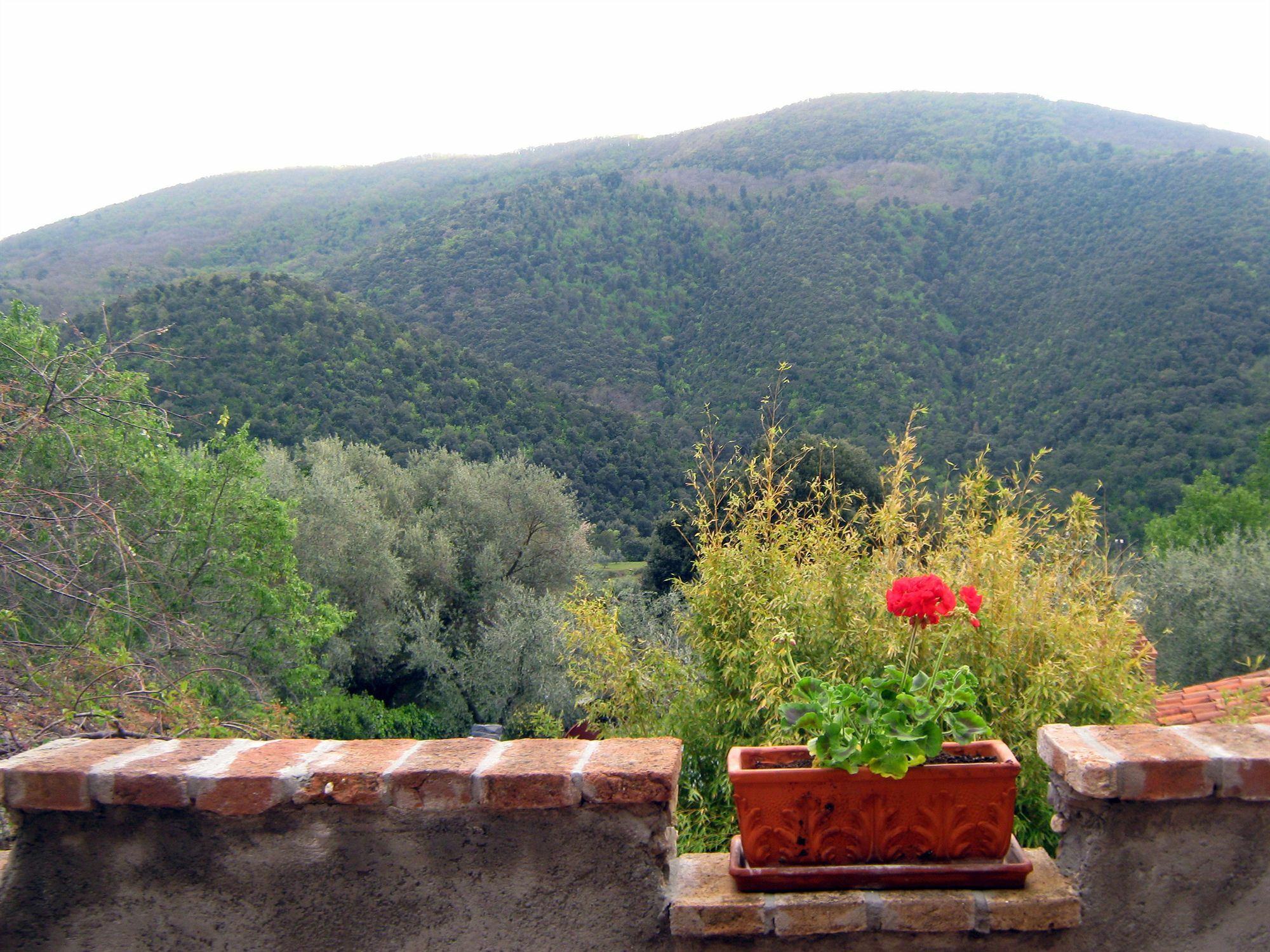 San Desiderio Ai Biagioni Hotel Scarlino Exterior photo